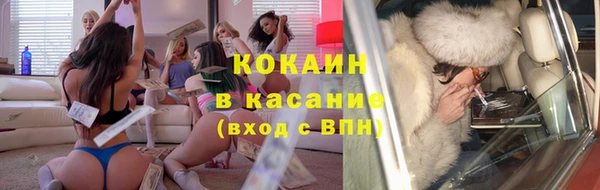 гашик Аркадак
