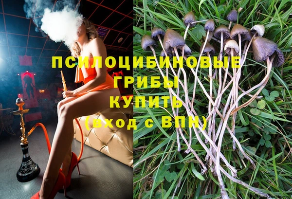 Альфа ПВП Армянск