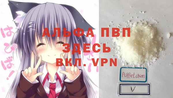 гашик Аркадак