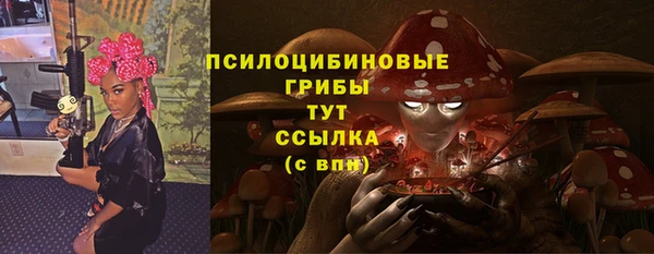 Альфа ПВП Армянск