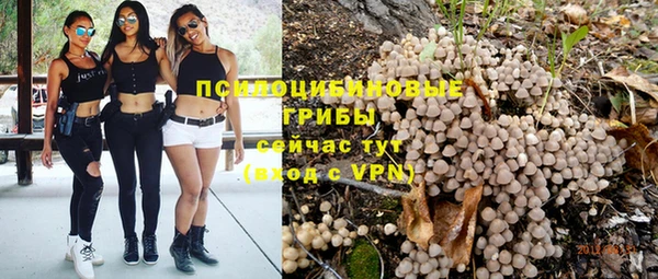 Альфа ПВП Армянск